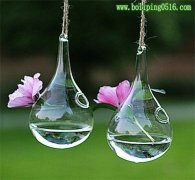 透明玻璃花瓶懸掛式 創意水滴型吊球花瓶